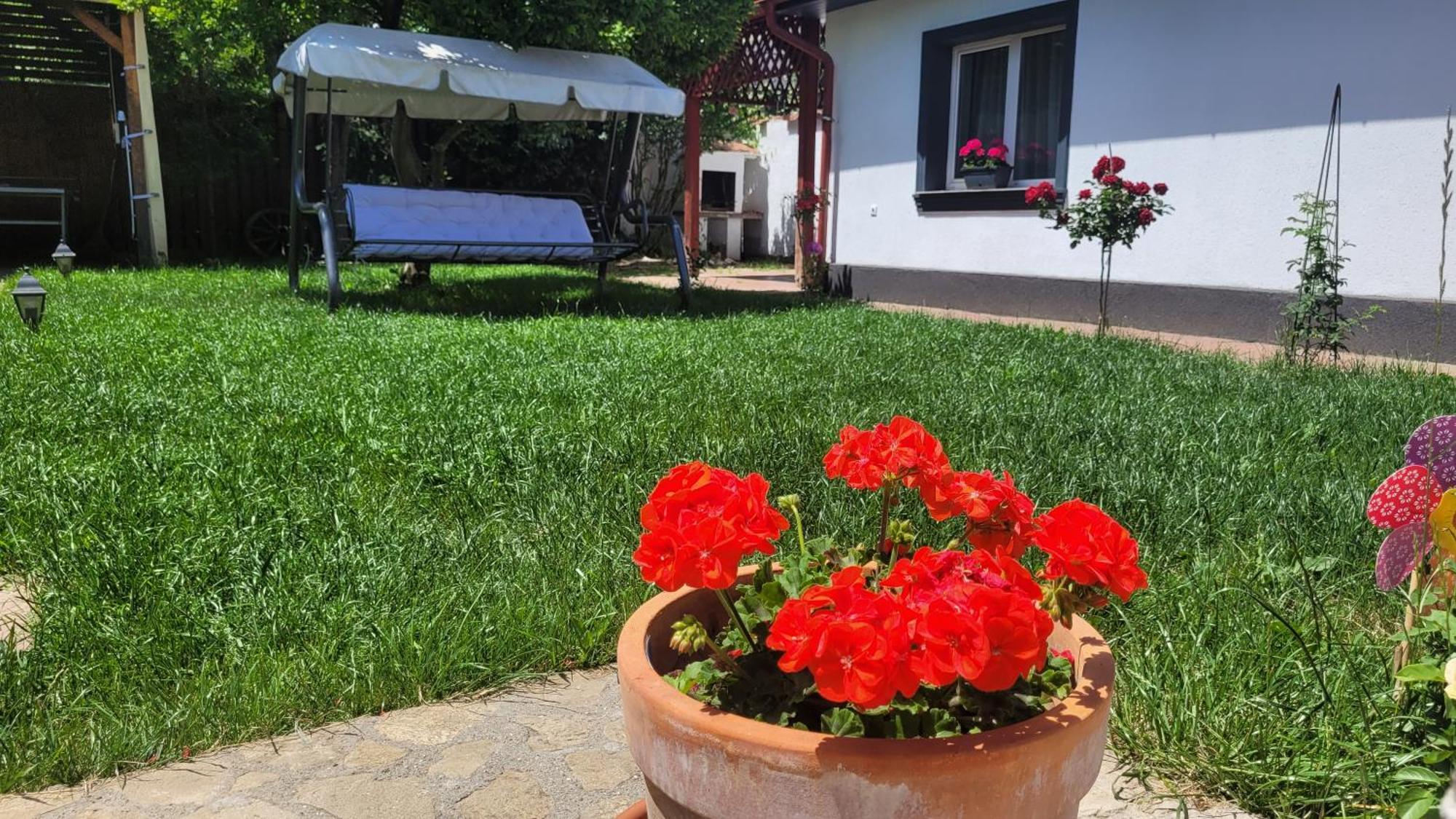 Aristocratic Home Brašov Exteriér fotografie